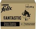 Felix Fantastic Mixed Selection Karma w galaretce dla kota 120x85g