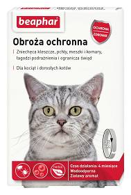 Beaphar Bea dla Kota i Kociąt Obroża na kleszcze długość 35cm