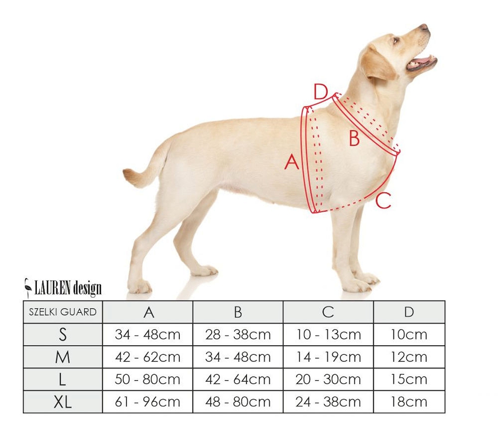 Jak wybrać rozmiar szelek dla psów marki Amiplay
