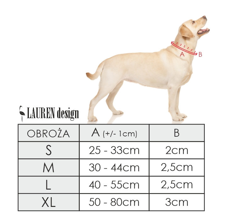 Jak wybrać rozmiar obroży dla psów marki Amiplay